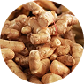GINGER
