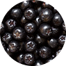 ARONIA