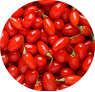 GOJI BERRY