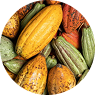 CACAO