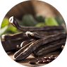 CAROB