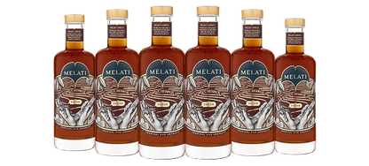 GLP-1 DIGESTIVE SUPPORT
