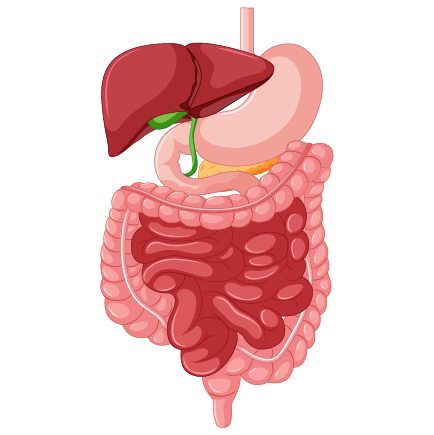 YOUR SYSTEM IS OVERWHELMED AND NEED TO RESET