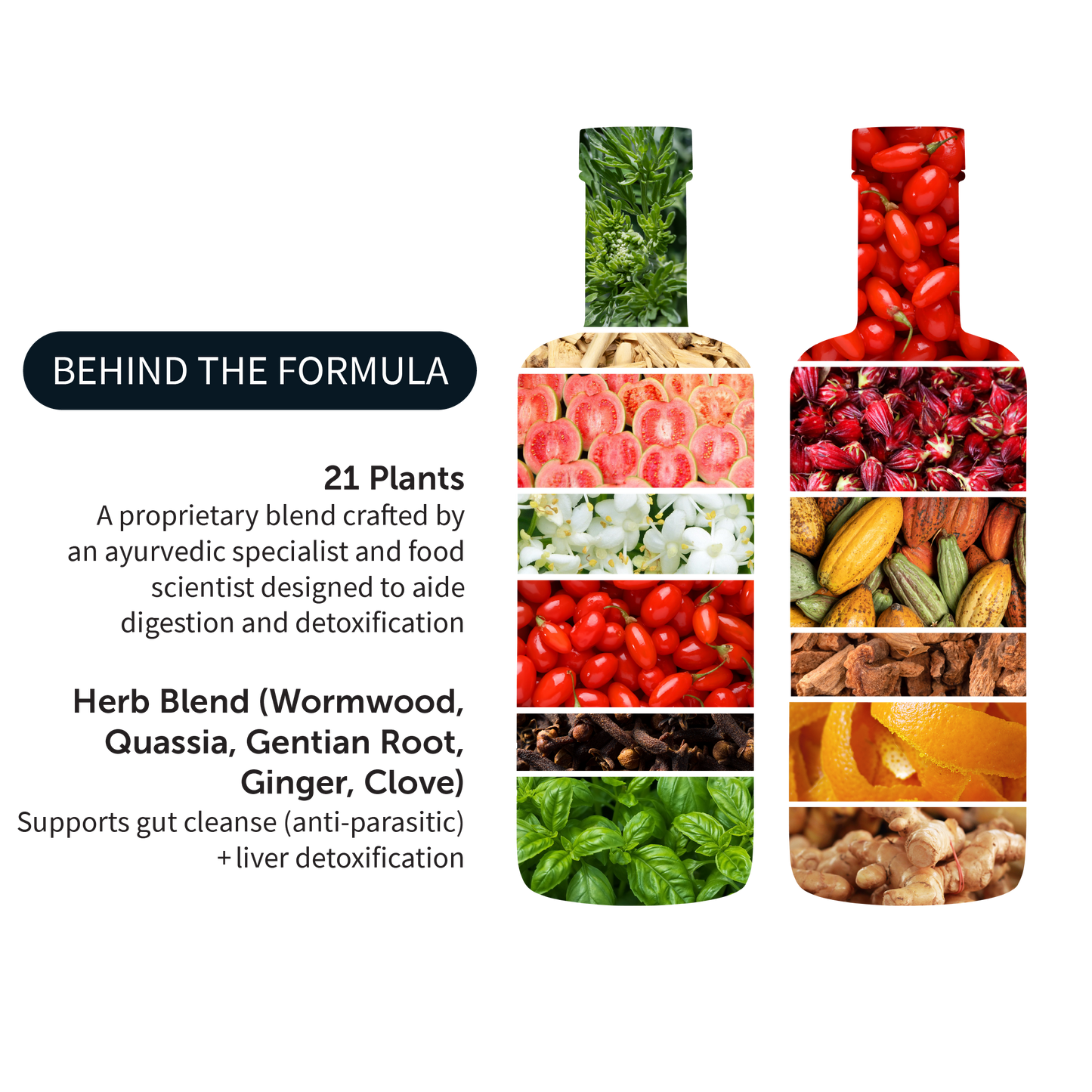 LIVER DETOX & REPAIR